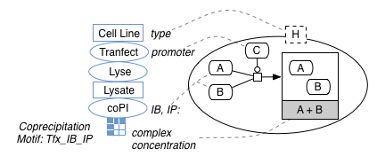 Simple mapping between coprecipitation studies and BioPax pathway models (for a Tfx_IP_IB motif). The right hand side shows the typical interpretation of data as a controlled binding event